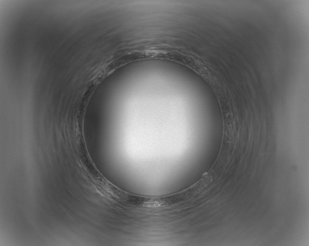 X0000056030704200508190952