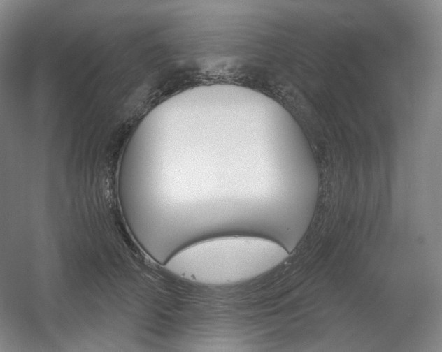 X0000056030706200508190952