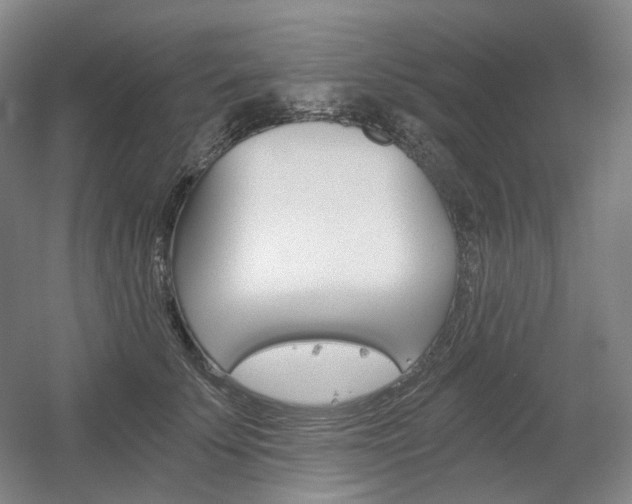 X0000056030707200508190952