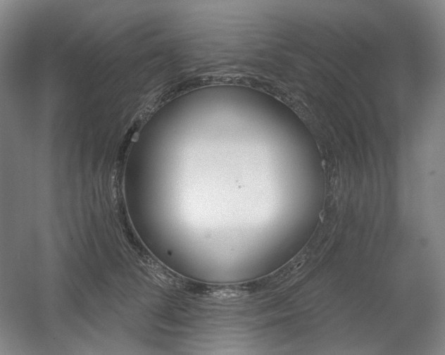 X0000056030708200508190952