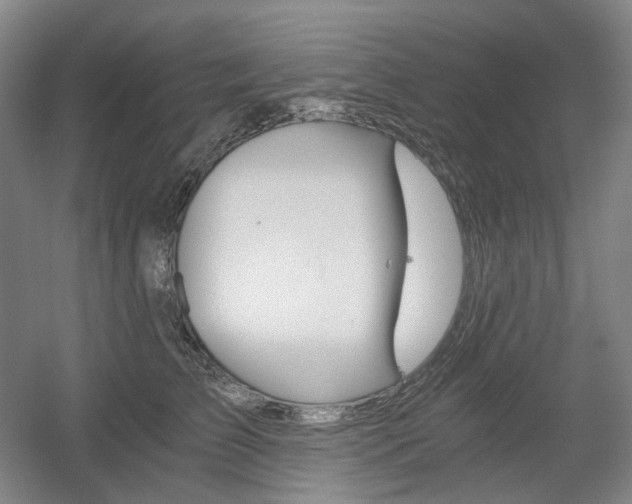 X0000056030709200508190952