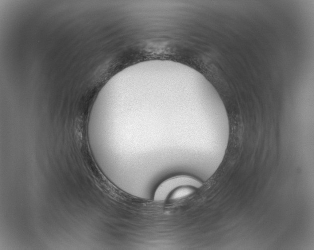 X0000056030710200508190952