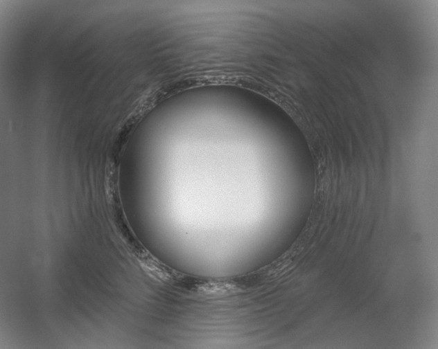 X0000056030712200508190952