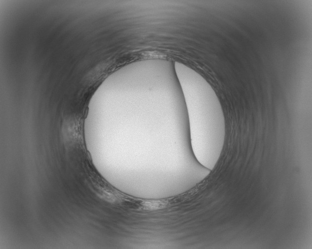 X0000056030713200508190952