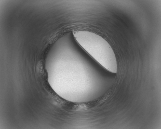 X0000056030715200508190952