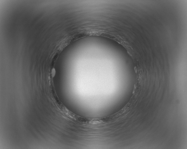 X0000056030716200508190952