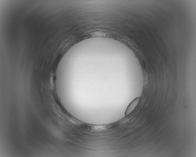 X0000056030717200508190952