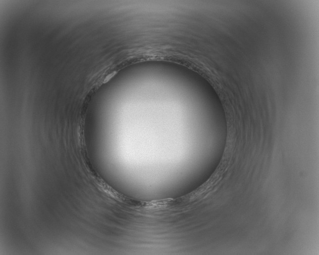 X0000056030720200508190952