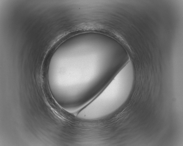 X0000056030722200508190951