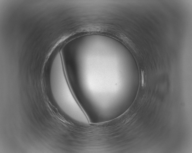 X0000056030723200508190951