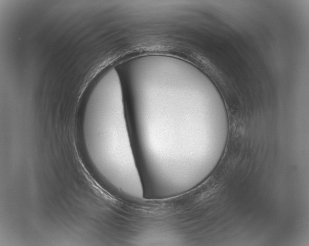 X0000056030725200508190951