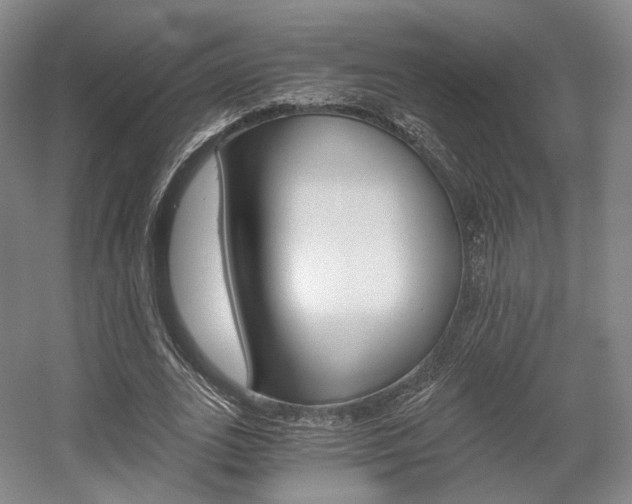 X0000056030727200508190951