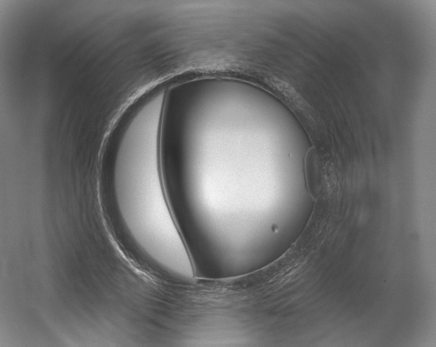 X0000056030728200508190951
