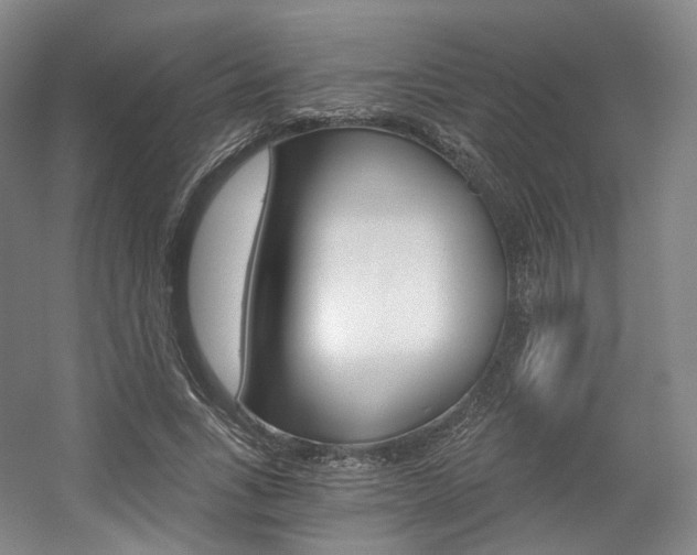 X0000056030735200508190951