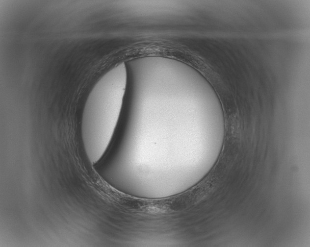 X0000056030737200508190951