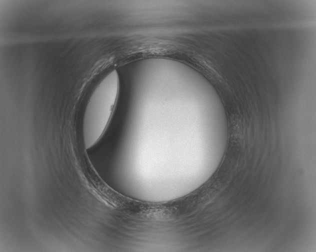 X0000056030738200508190951