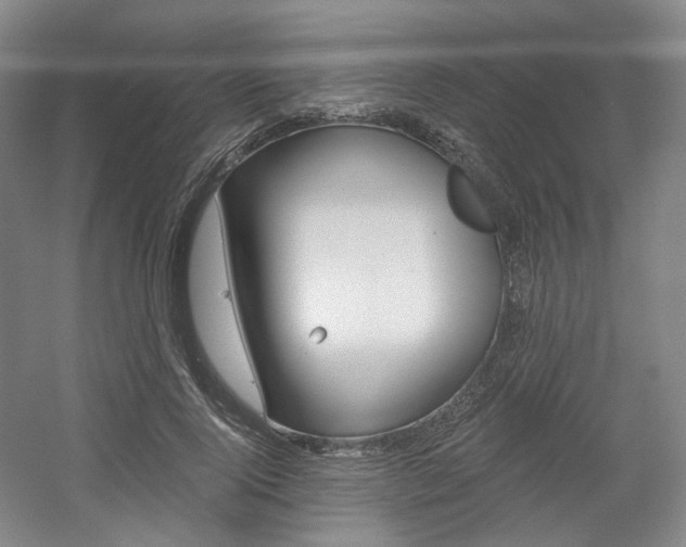 X0000056030740200508190952