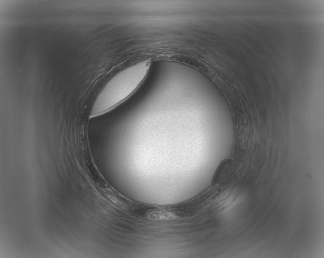 X0000056030747200508190952