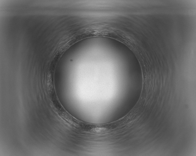 X0000056030748200508190952