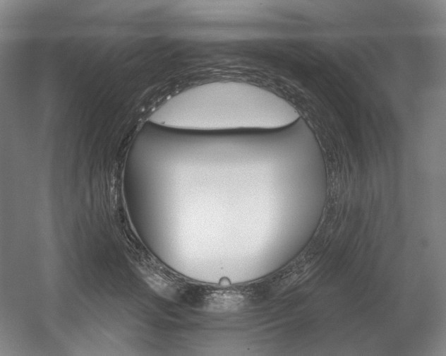 X0000056030749200508190952