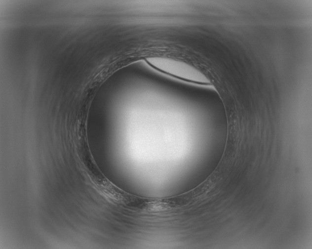 X0000056030750200508190952