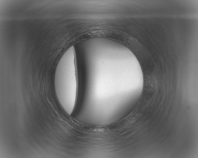 X0000056030751200508190952