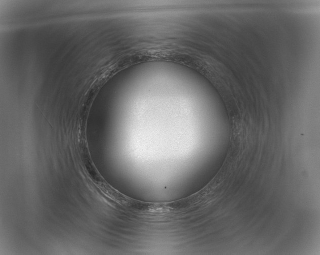 X0000056030752200508190952