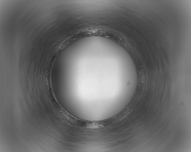 X0000056030754200508190952