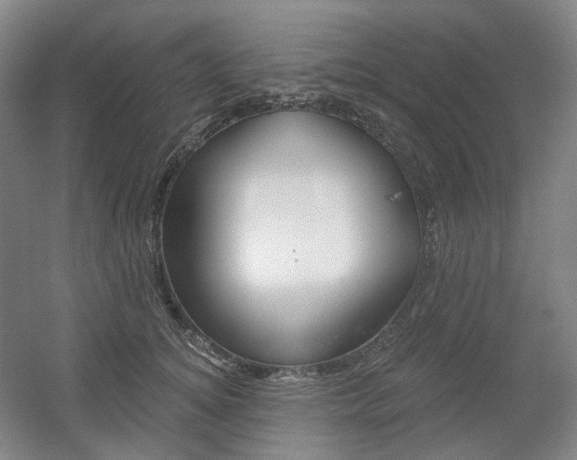 X0000056030756200508190952