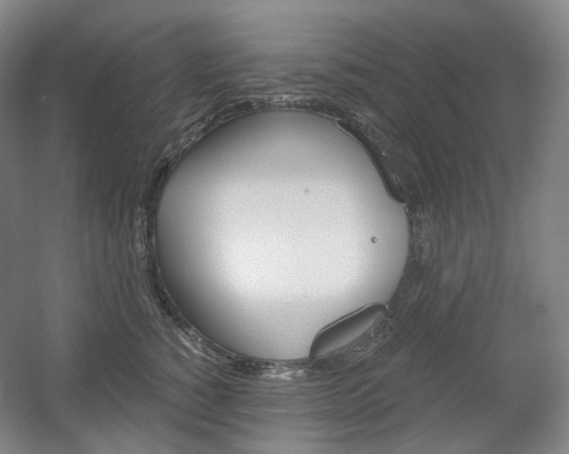 X0000056030760200508190952