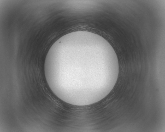 X0000056030762200508190952