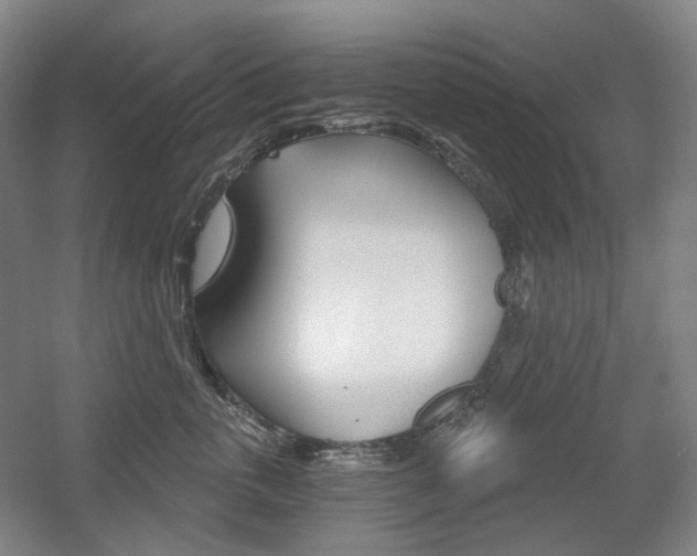 X0000056030763200508190952