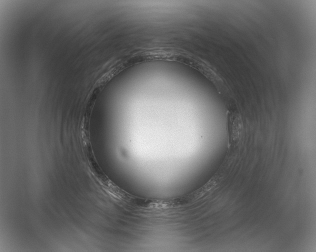 X0000056030764200508190952