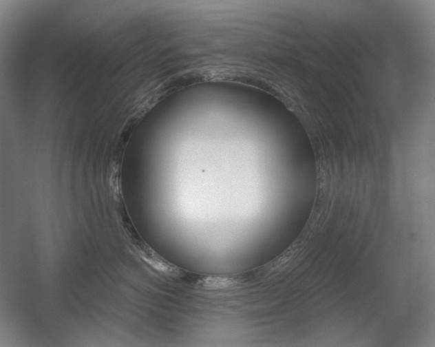 X0000056030766200508190952