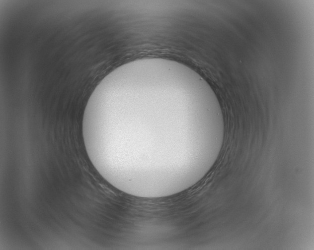 X0000056030768200508190952