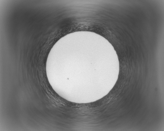 X0000056030769200508190951