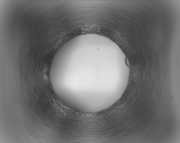 X0000056030770200508190951