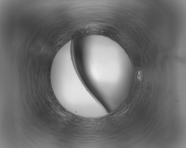 X0000056030771200508190951