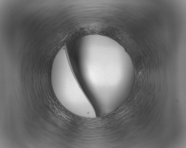 X0000056030772200508190951
