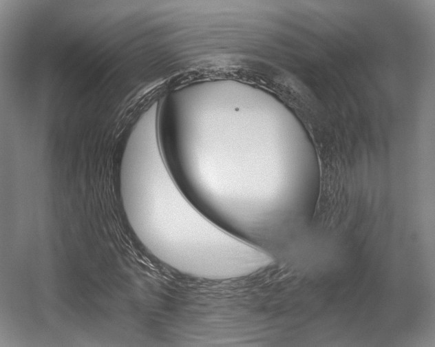 X0000056030773200508190951