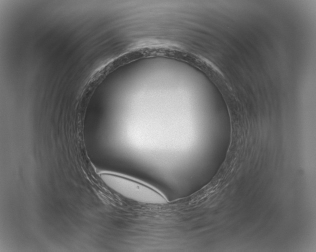 X0000056030775200508190951