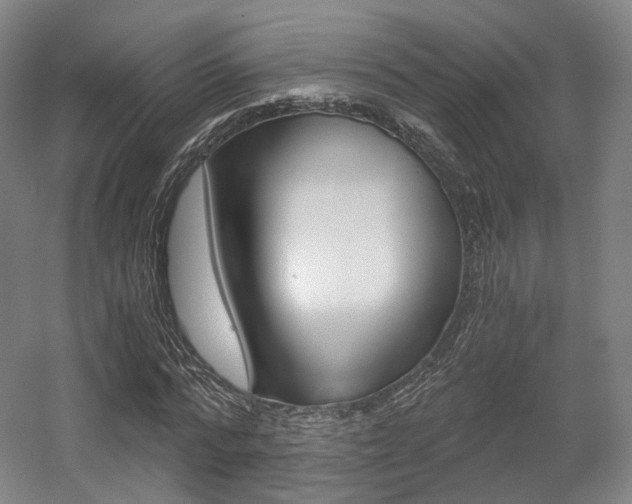 X0000056030776200508190951