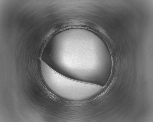 X0000056030777200508190951