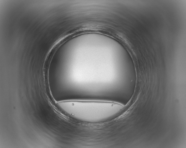 X0000056030779200508190951