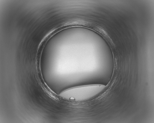 X0000056030780200508190951