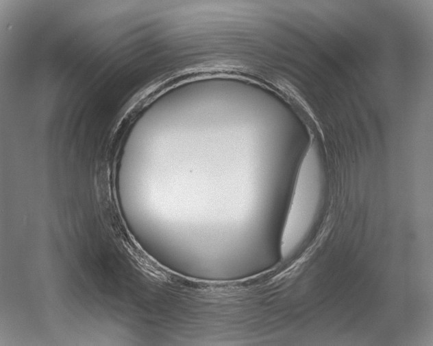 X0000056030781200508190951