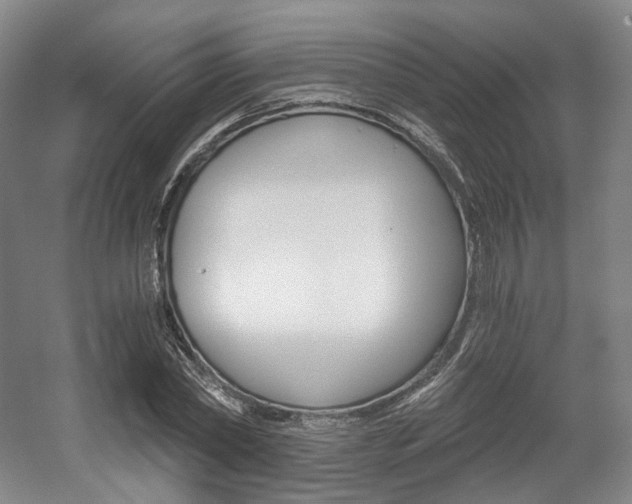 X0000056030782200508190951