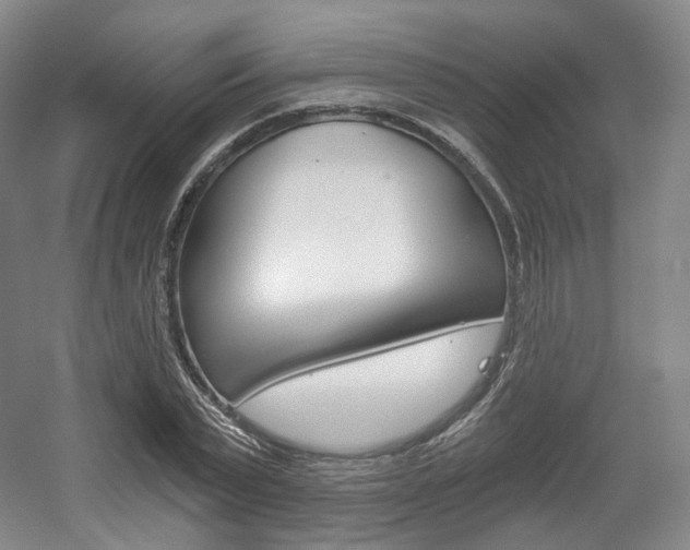 X0000056030783200508190951