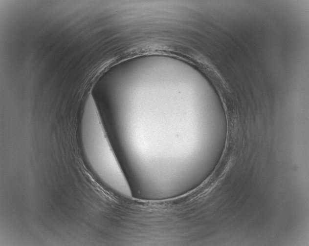 X0000056030785200508190951