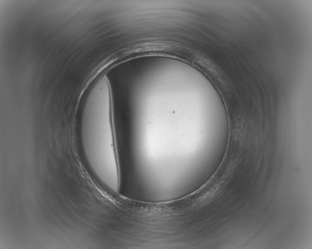 X0000056030786200508190951